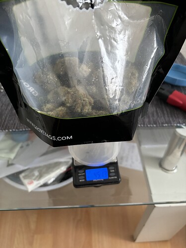 Growreport Bild 44