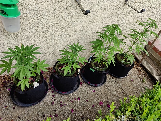 Growreport Bild 7
