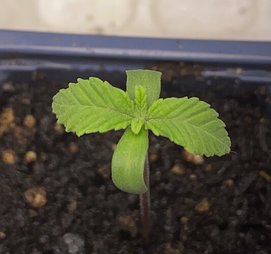 Growreport Bild 12