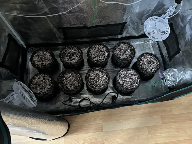 Growreport Bild 9