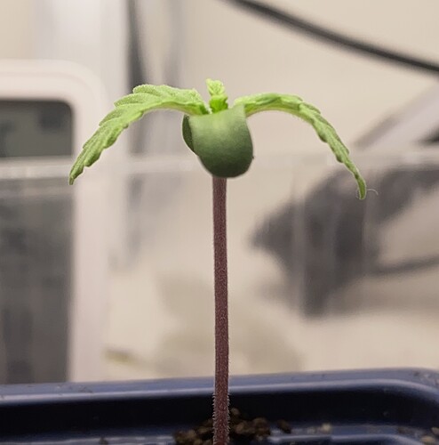 Growreport Bild 14