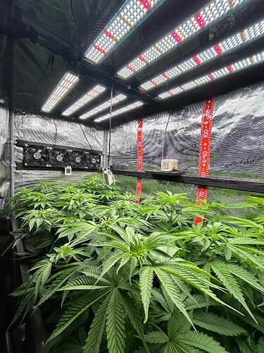 Growreport Bild 12