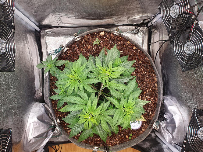 Tag 29 -2026-03-05-214446_005