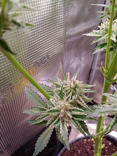 Growreport Bild 10