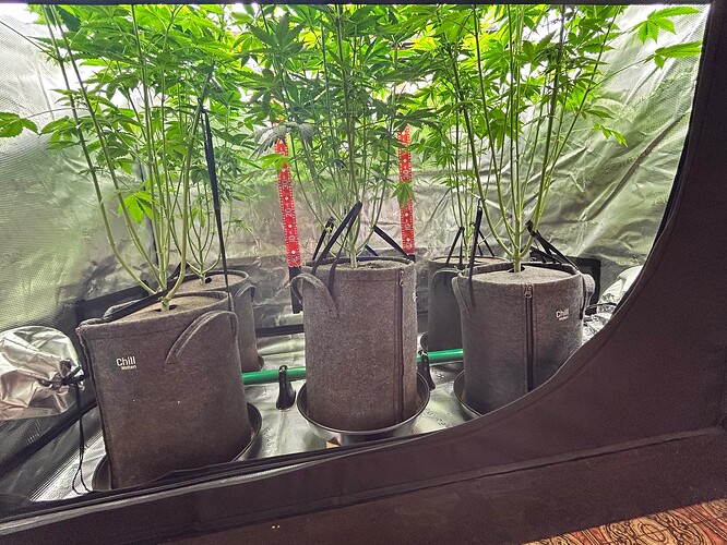 Growreport Bild 10