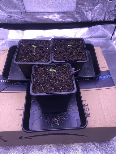 IMG_0776