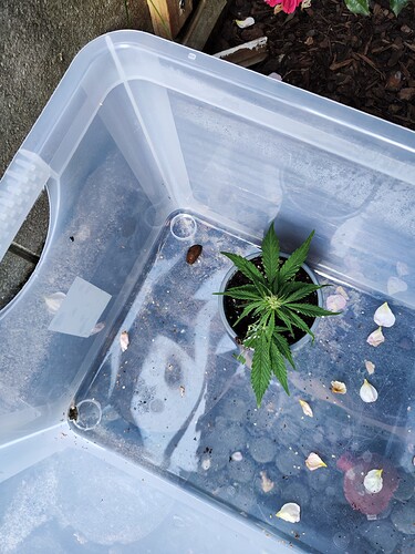 Growreport Bild 22