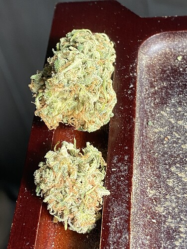 Growreport Bild 43