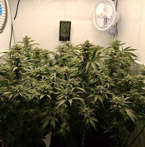 476444335_122166702068293599_4725021495832726432_n