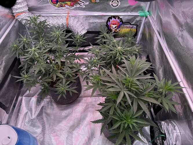 Growreport Bild 9