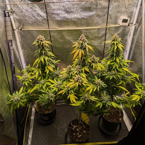 Growreport Bild 15