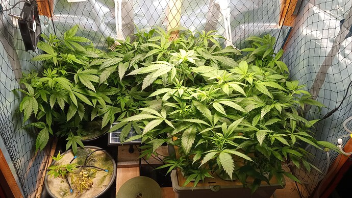 Growreport Bild 3