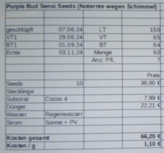 Growreport Bild 2