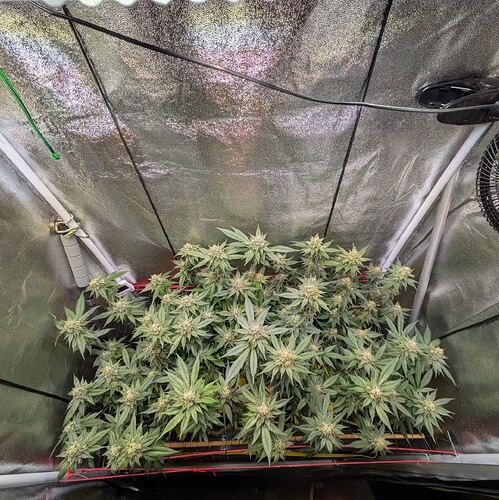 Growreport Bild 9