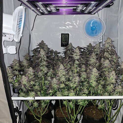 480707856_122170053212293599_3461394305021067459_n