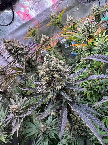Growreport Bild 18