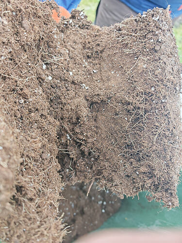 Growreport Bild 8