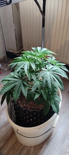 IMG_20250117_132830457