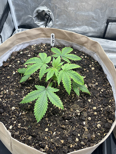 Growreport Bild 18