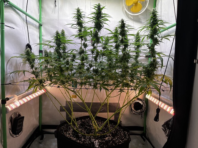 Growreport Bild 2