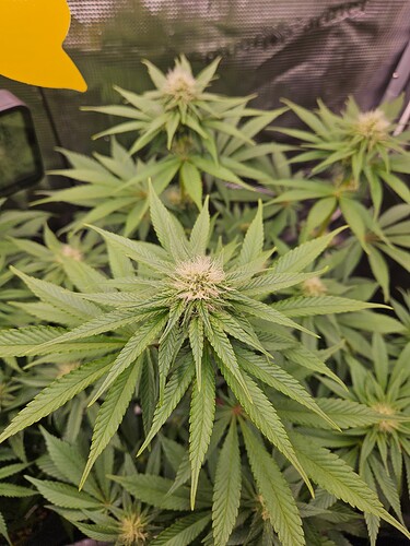 Growreport Bild 22