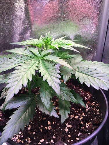 Growreport Bild 5
