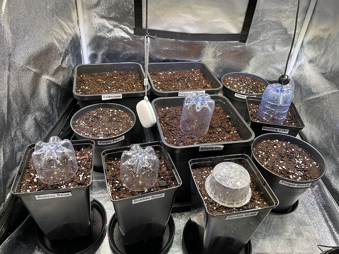 Growreport Bild 4