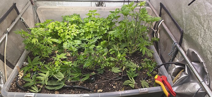 Growreport Bild 7