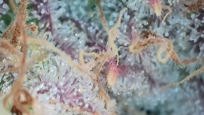 Growreport Bild 23