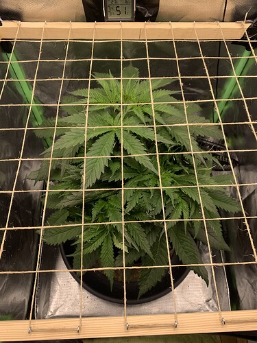 Growreport Bild 1