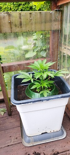 Growreport Bild 4