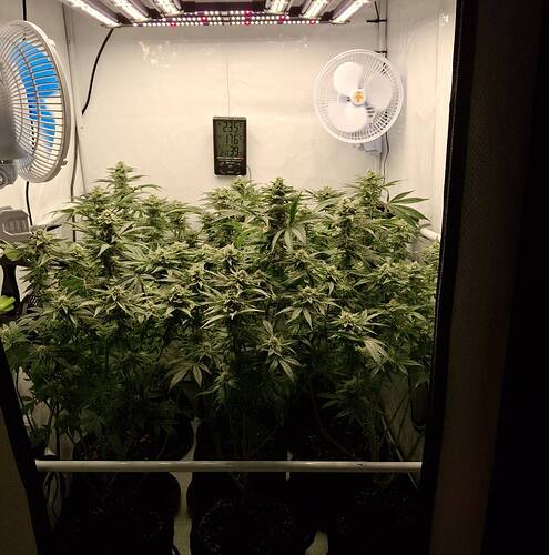 476132418_122166702194293599_982857581112940048_n