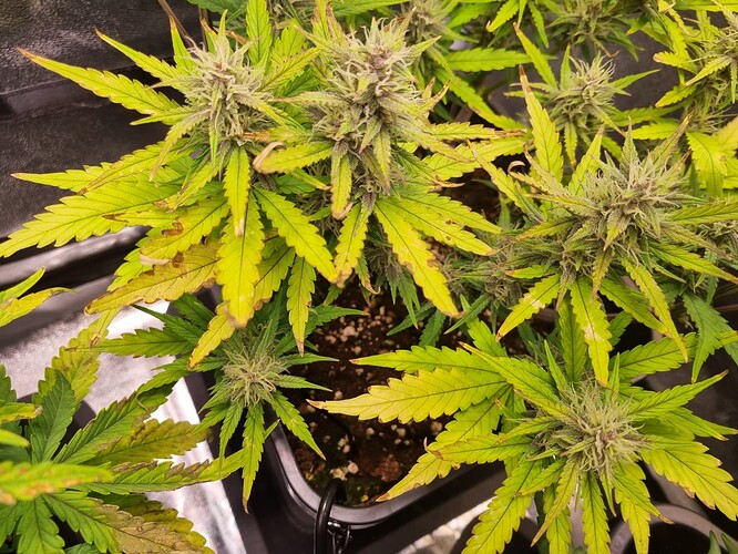 WhatsApp Bild 2024-06-23 um 18.54.45_b7b518f2