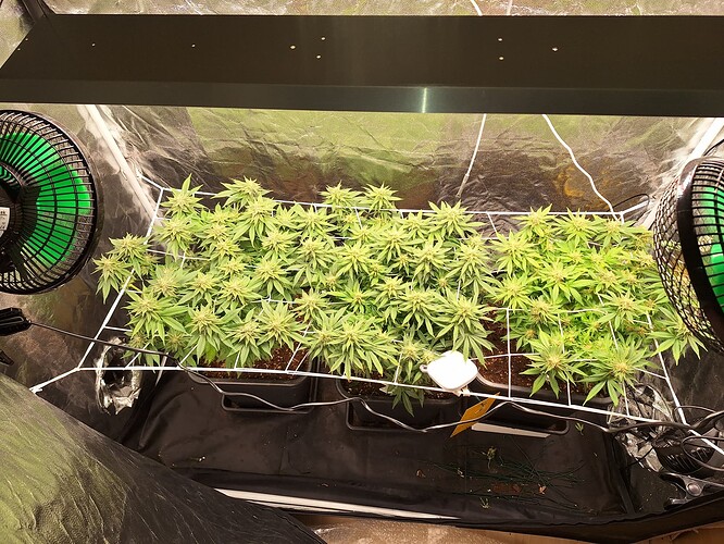 Growreport Bild 12