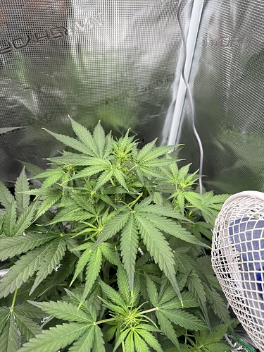 Growreport Bild 19