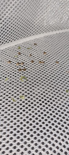 Growreport Bild 48