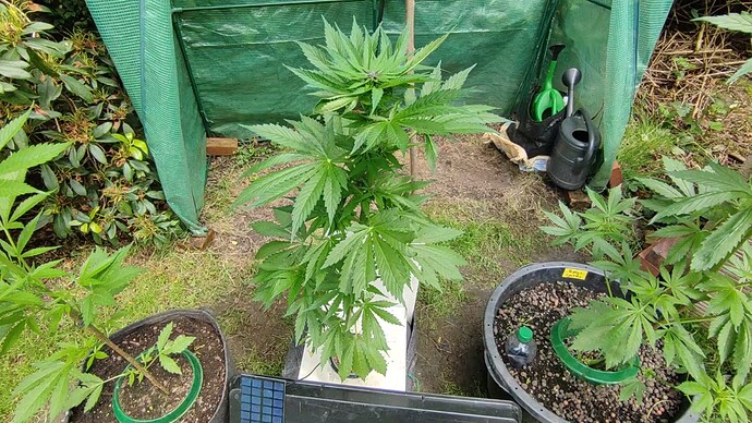 Screenshot 2024-06-18 144653