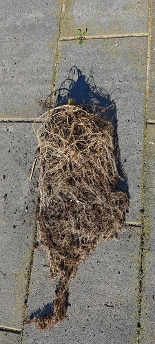 Growreport Bild 34