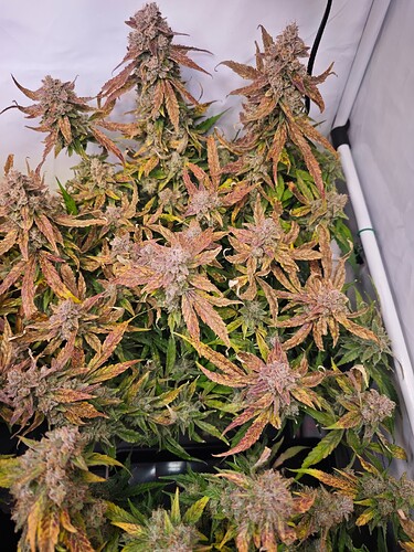 MVIMG_20251204_172136