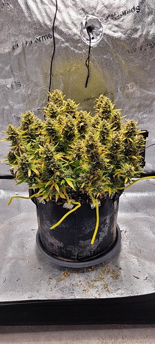 signal-2024-04-16-19-03-22-779-10