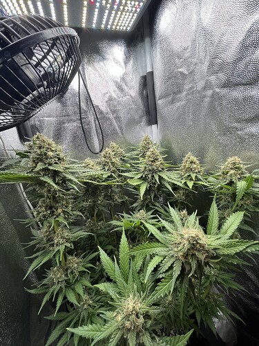 Growreport Bild 15