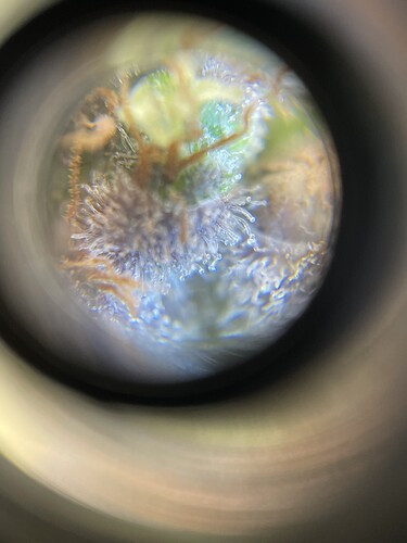 Growreport Bild 13