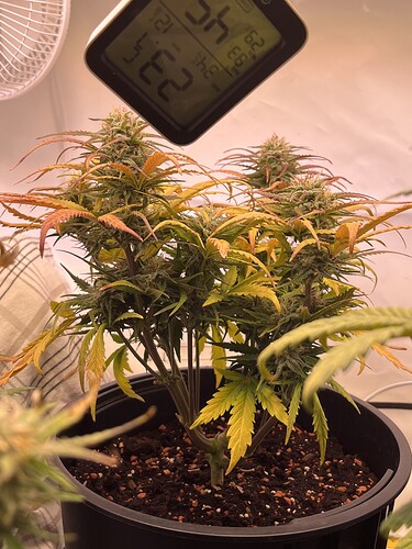 Growreport Bild 3