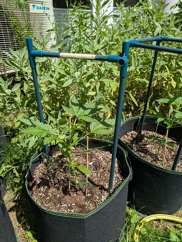 PXL_20250625_124515755