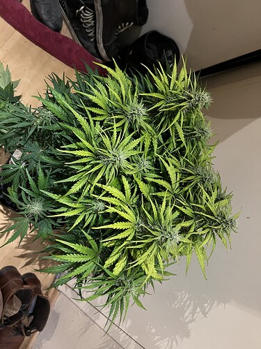 Growreport Bild 17