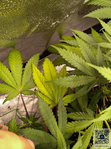 Growreport Bild 3
