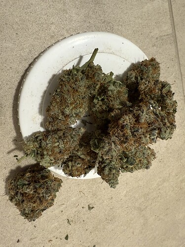 Growreport Bild 21