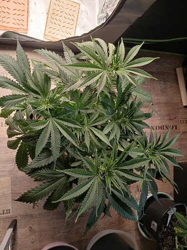 Growreport Bild 14