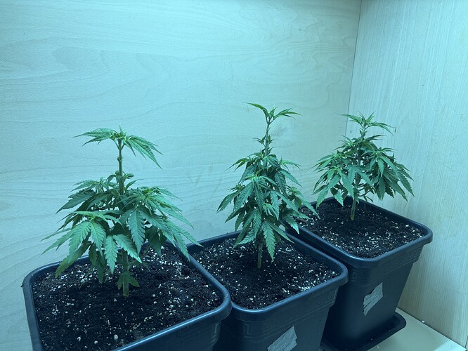 Growreport Bild 10