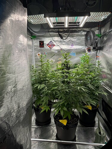 Growreport Bild 15